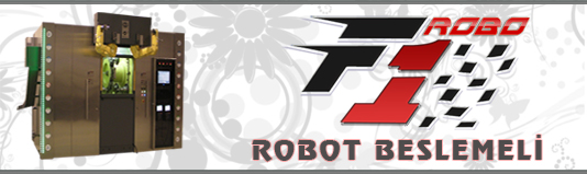 Robot Beslemeli Transfer Makinesi Robot Beslemeli Transfer Makinesi